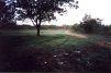 Looking from the family house site, out to the driveway.