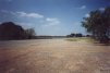 Highway 305 in front of the BBQ Shack.